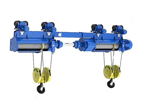WHAT KINDS OF HOIST WE CAN OFFER ?
